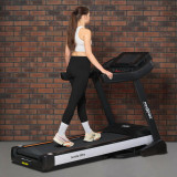 Proxima Ivetta HRC iPro PROT-224 Беговая дорожка